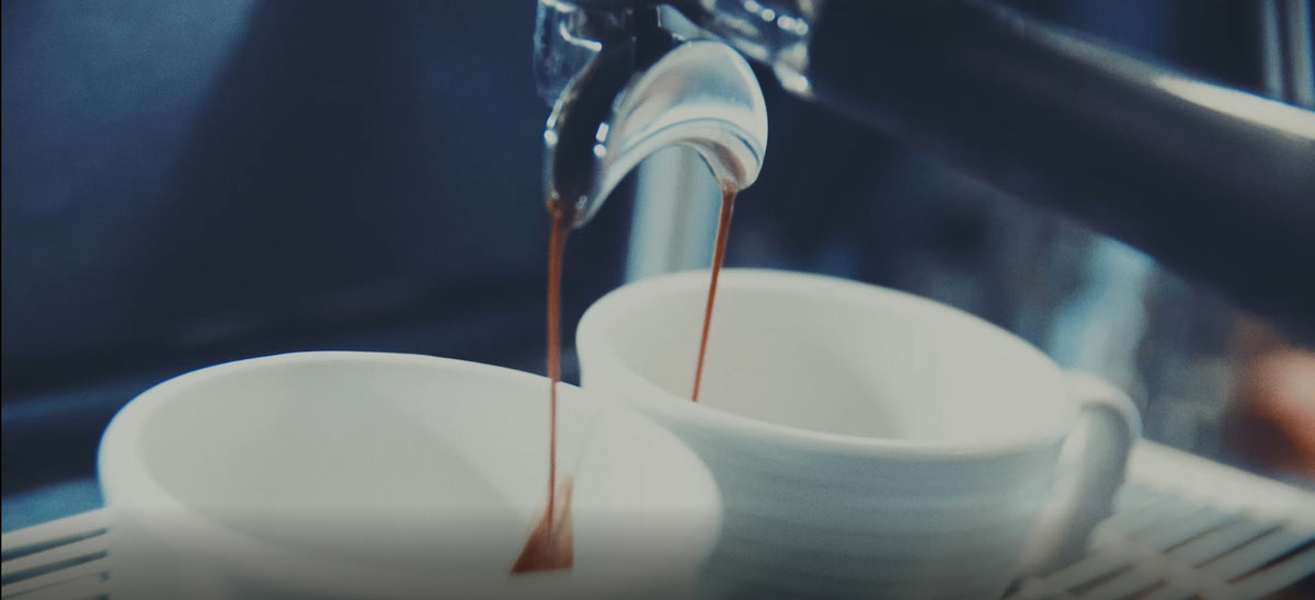 Basic Espresso Training: Extraction